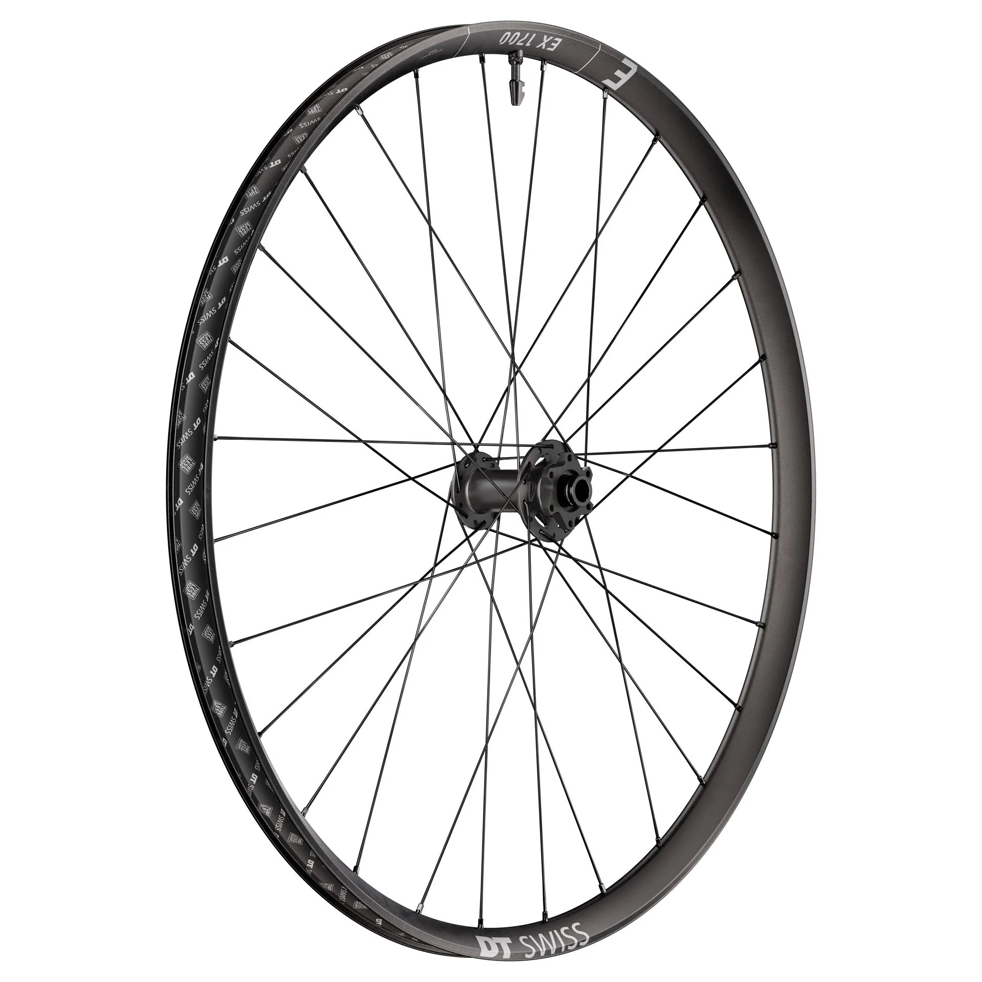 DT Swiss EX 1700 Classic Front Wheel - 29" - 15x110mm