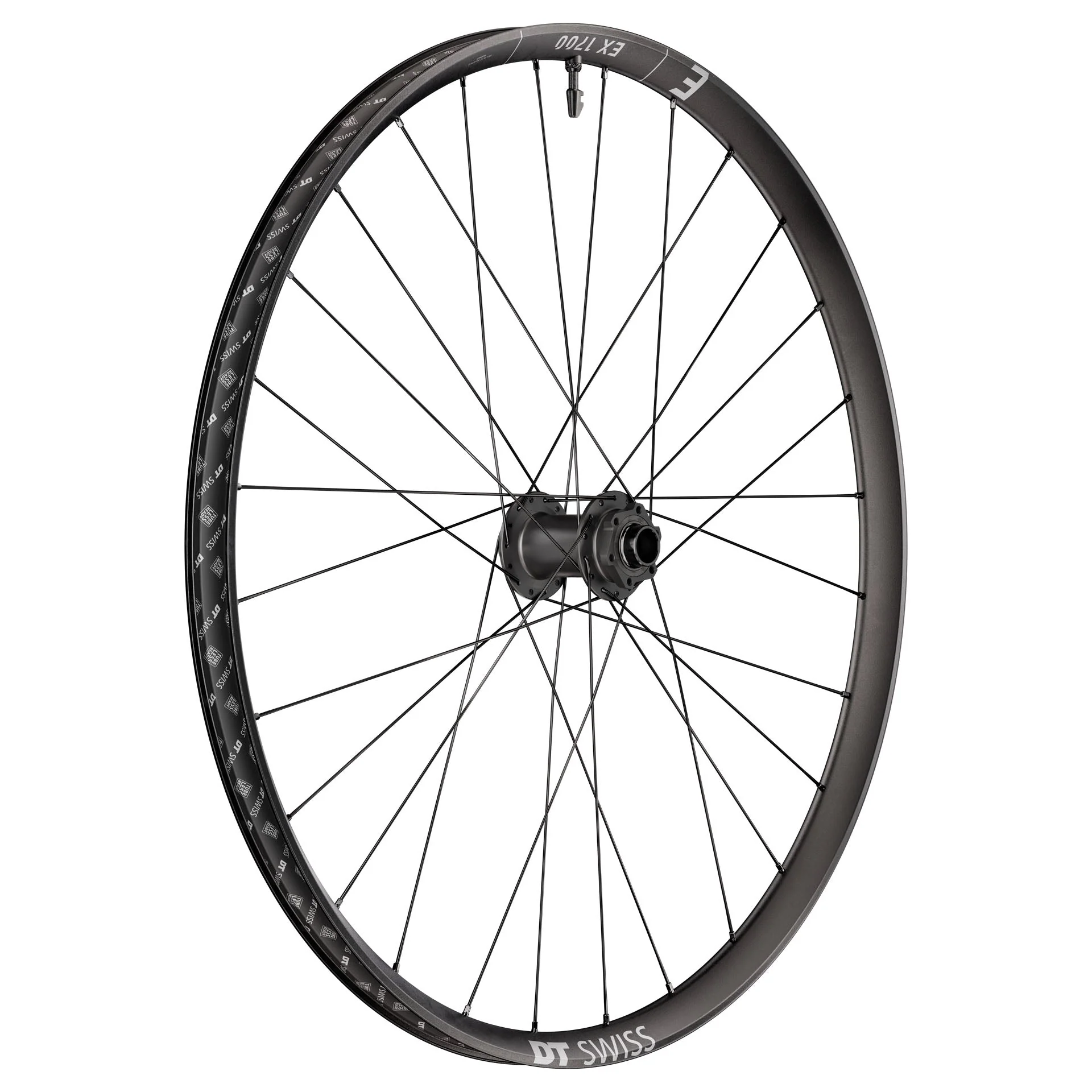 DT Swiss EX 1700 Classic Front Wheel - 29" - 20x110mm Boost