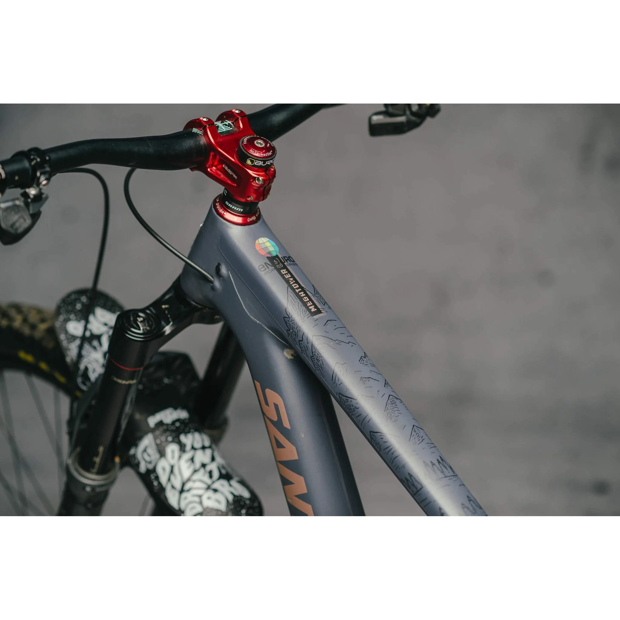 DYEDBRO Frame Protection - EWS Mountains Black