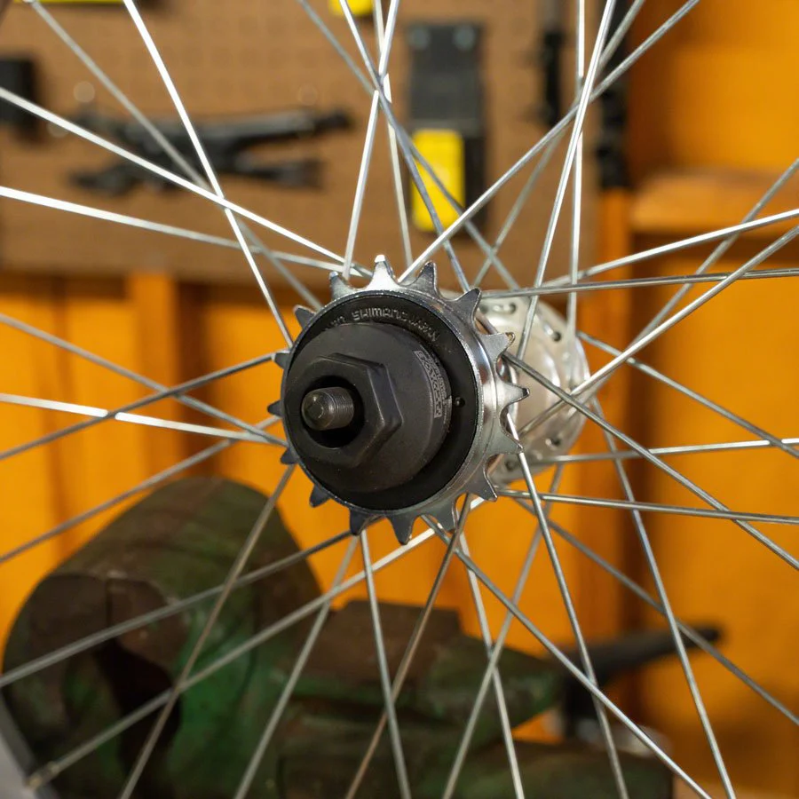 Pedros Freewheel Socket - Single Speed 4-Notch x 40mm - Image 3