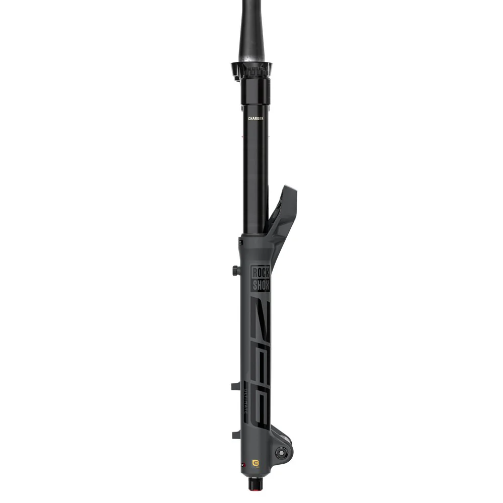 RockShox Zeb Ultimate - 29" - 190mm - Grey - Charger 3.1 RC2 - A3 - Image 3